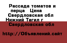 Рассада томатов и перца › Цена ­ 40 - Свердловская обл., Нижний Тагил г.  »    . Свердловская обл.